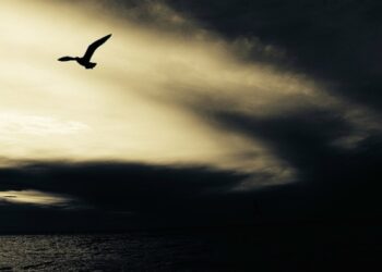 ФОМ: Уровень тревожности россиян за неделю вырос вдвое и приблизился к 70%