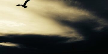 ФОМ: Уровень тревожности россиян за неделю вырос вдвое и приблизился к 70%