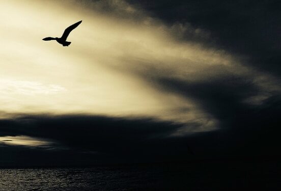 ФОМ: Уровень тревожности россиян за неделю вырос вдвое и приблизился к 70%