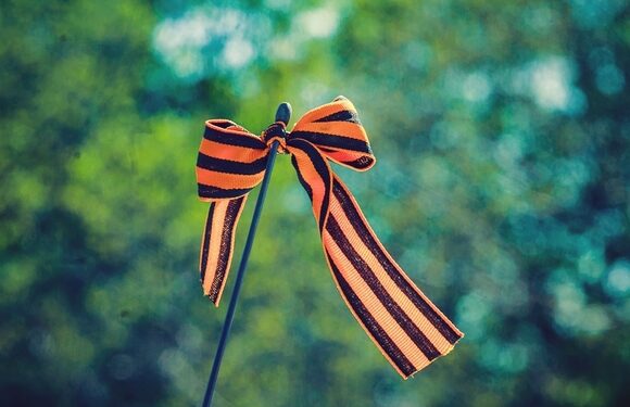 Осквернение георгиевской ленты станет уголовно наказуемым преступлением в России