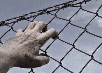 В Госдуму внесен законопроект о привлечении заключенных к участию в СВО на определенных условиях