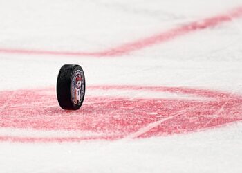 Домработница украла коллекционную шайбу Овечкина из дома его свояченицы