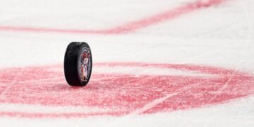 Домработница украла коллекционную шайбу Овечкина из дома его свояченицы