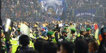 «Многие жизни потрачены впустую»