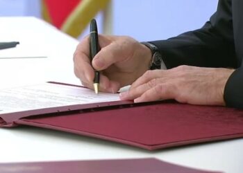 Территории приняли — что дальше?