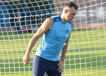 В «Венеции» рассказали о возможности подписания контракта с Дзюбой