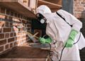 Как проводится дезинсекция?