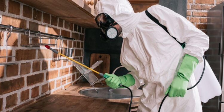 Как проводится дезинсекция?