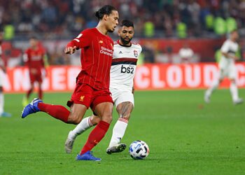 Чемпионат мира по футболу: суть и история проведения ЧМ