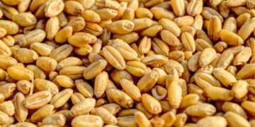 Reuters: Россия попросила Запад снять санкции с Россельхозбанка