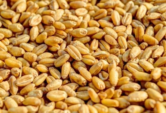 Reuters: Россия попросила Запад снять санкции с Россельхозбанка