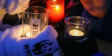 Власти Чукотки отказались сотрудничать с Всемирным фондом дикой природы