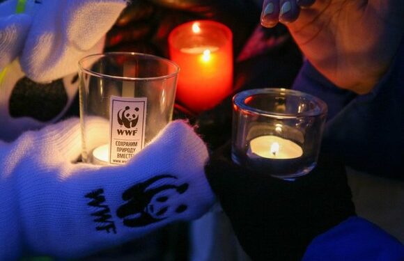 Власти Чукотки отказались сотрудничать с Всемирным фондом дикой природы