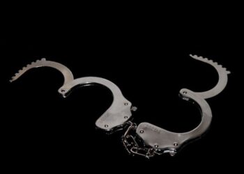 США и Россия обменяли Бута на баскетболистку Грайнер