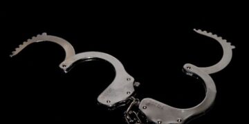 США и Россия обменяли Бута на баскетболистку Грайнер