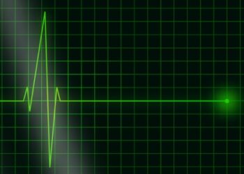 В Хабаровском крае глава поселка умер на совещании