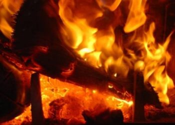 В Пермском крае при пожаре в частном доме погибли три человека, среди них двое детей