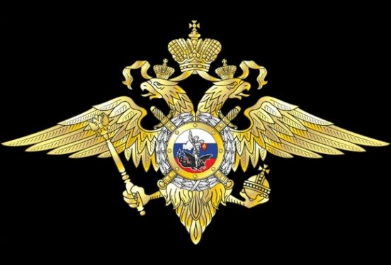 В России рекордно выросло количество экстремистских преступлений