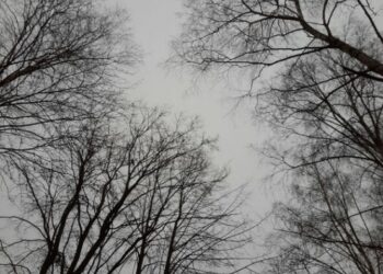 Климатолог предупредил россиян о грядущем увеличении числа экстремальных погодных явлений