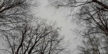 Климатолог предупредил россиян о грядущем увеличении числа экстремальных погодных явлений