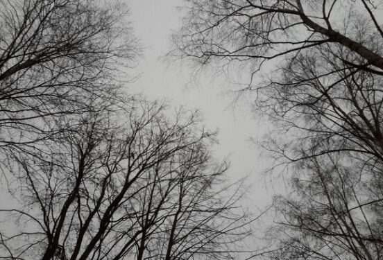 Климатолог предупредил россиян о грядущем увеличении числа экстремальных погодных явлений