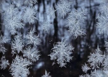 Научный руководитель гидрометцентра предупредил о морозах до 53 градусов в ряде регионов РФ
