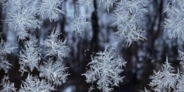 Научный руководитель гидрометцентра предупредил о морозах до 53 градусов в ряде регионов РФ