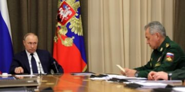 Путин поручил Шойгу ввести режим прекращения огня