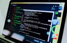 Разработка программного обеспечения: виды