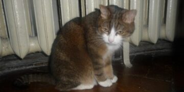 В Краснодаре из-за аварии более 160 жилых домов остались без тепла