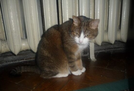 В Краснодаре из-за аварии более 160 жилых домов остались без тепла