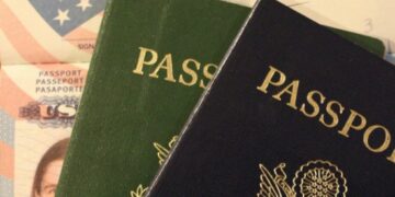 Более 50 тысяч россиян уведомили МВД о наличии иного гражданства или ВНЖ