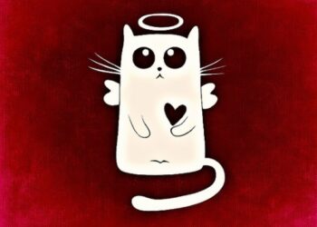 День Святого Валентина считает праздником каждый четвертый житель России