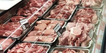 Диетолог перечислила продукты, являющиеся лучшей заменой мясу