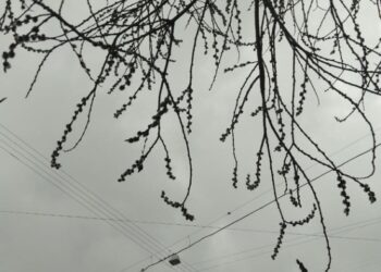 В Гидрометцентре прогнозируют опасные температурные аномалии в ряде регионов России