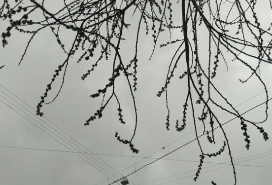 В Гидрометцентре прогнозируют опасные температурные аномалии в ряде регионов России