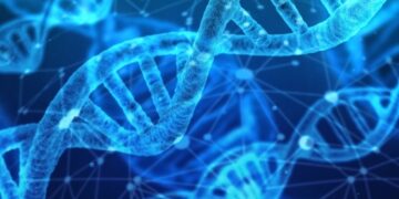 В России начнут сбор геномной информации всех подозреваемых