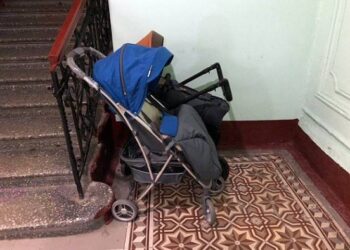 В Твери женщина обнаружила в детской коляске крысу с 14 крысятами