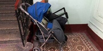 В Твери женщина обнаружила в детской коляске крысу с 14 крысятами