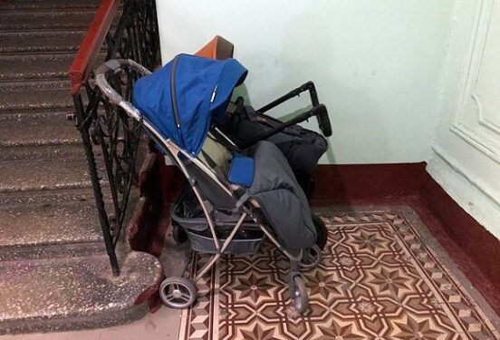 В Твери женщина обнаружила в детской коляске крысу с 14 крысятами