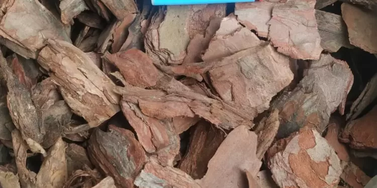 Применение коры сосны на садовых участках