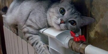 Во Владивостоке 30 тысяч человек остались без тепла из-за прорыва трубы