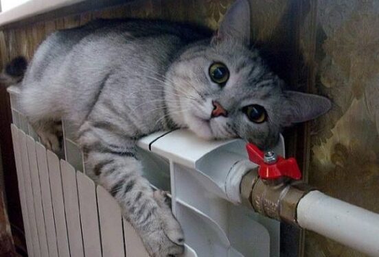 Во Владивостоке 30 тысяч человек остались без тепла из-за прорыва трубы