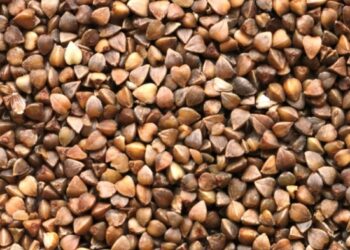 Диетолог: Гречка способна улучшить защиту от диабета, развития злокачественных опухолей и старения