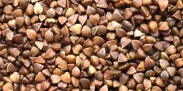 Диетолог: Гречка способна улучшить защиту от диабета, развития злокачественных опухолей и старения