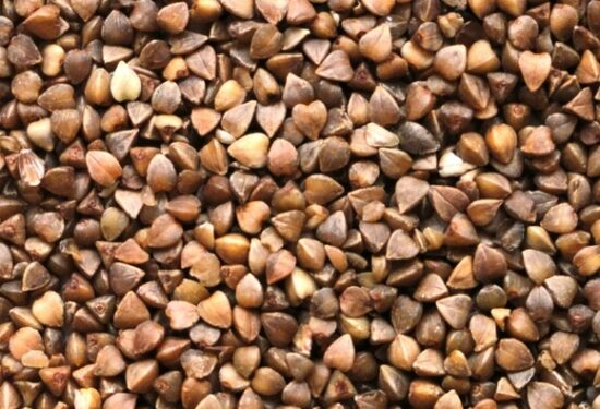 Диетолог: Гречка способна улучшить защиту от диабета, развития злокачественных опухолей и старения