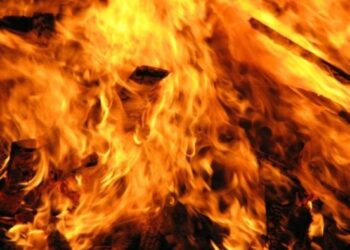 Под Красноярском произошел крупный пожар на пилораме