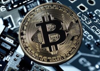 РБК: ФНС «взялась» за криптовалютные доходы россиян