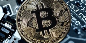 РБК: ФНС «взялась» за криптовалютные доходы россиян