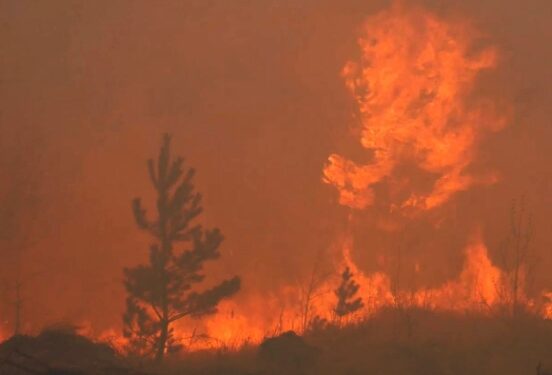 В Кургане и Кетовском округе власти ввели режим ЧС из-за пожаров